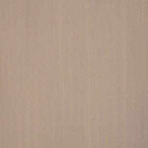 Alina, Jersey Baumwolle, 000173 uni, beige
