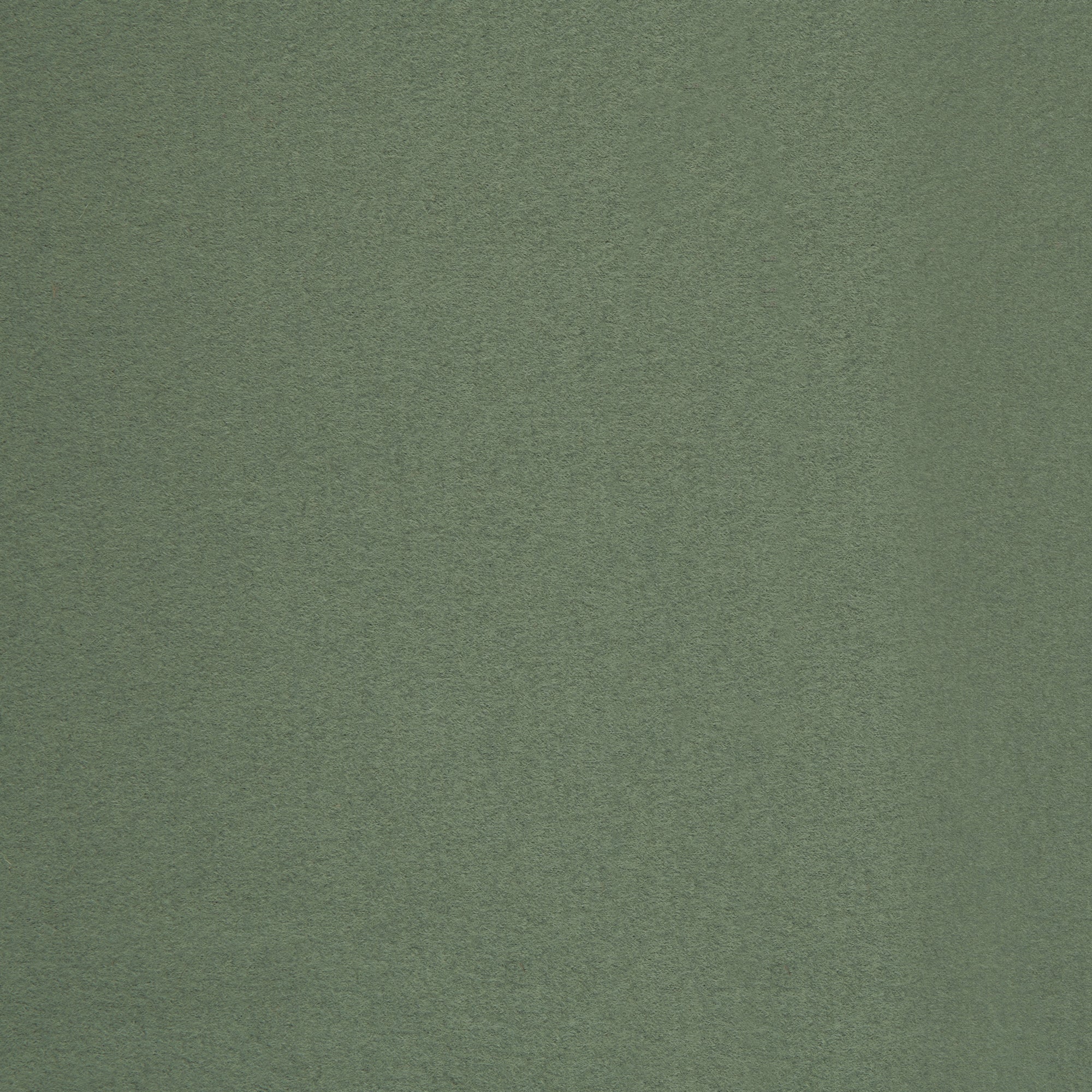 Walk, Wollwalk **gekochte Wolle**, Wolle,  uni, altmint 000265