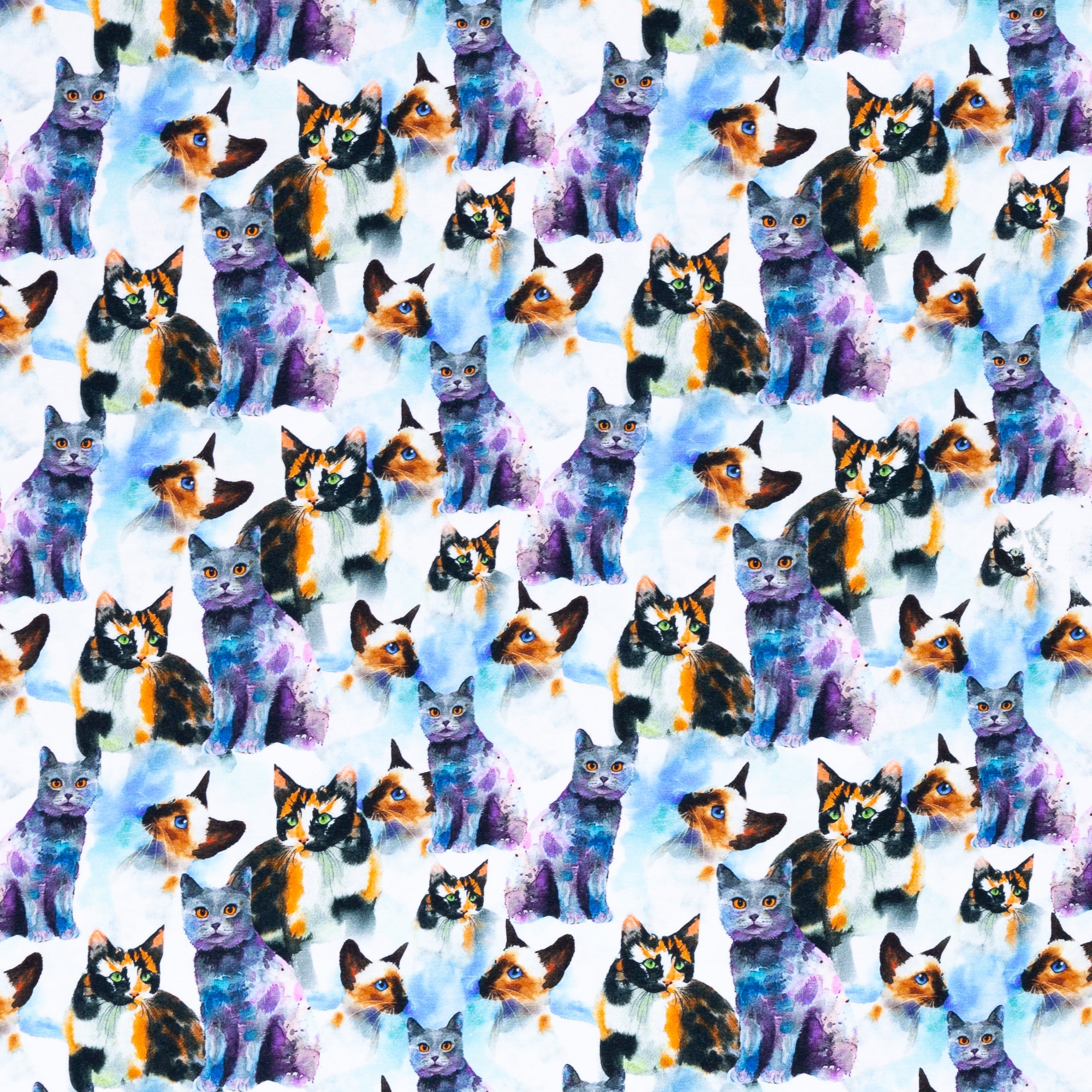 Sansa, Katzen, Jersey, Katzen Stoff, Jersey mit Katzen, Swafing